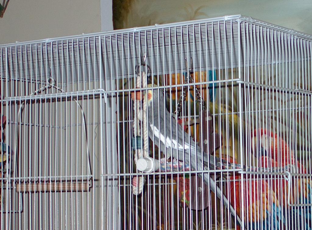 Pictures for Pollys Coffee Cove in Saint Paul, MN 55130